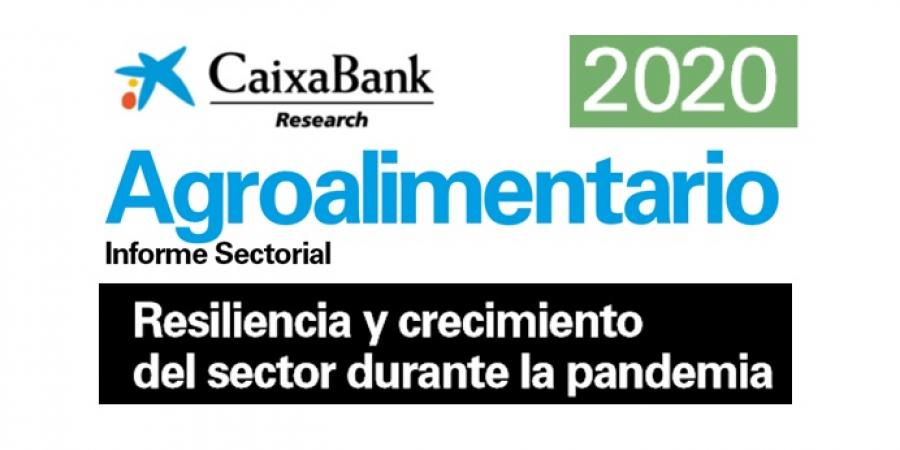Informe sectorial