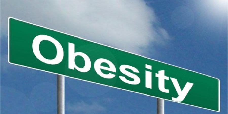 Cartel Obesity