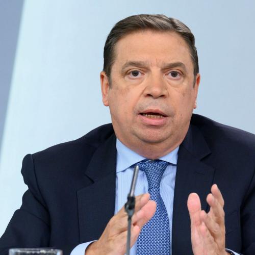 Ministro Luis Planas